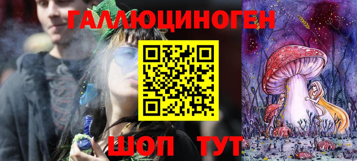 Псилоцибиновые грибы Psilocybe Алейск