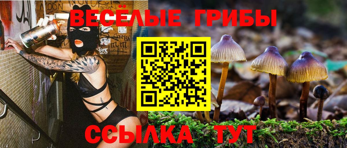 Алейск  Псилоцибиновые грибы Magic Shrooms  Вход с VPN 